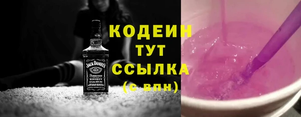 гашик Дмитровск