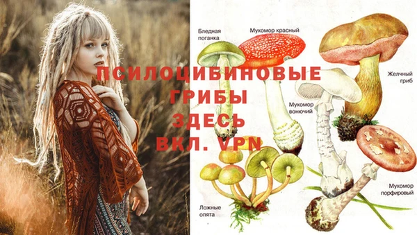 герыч Ельня